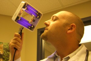 flickr.com/ photos/ mkmabus/ 2670562568