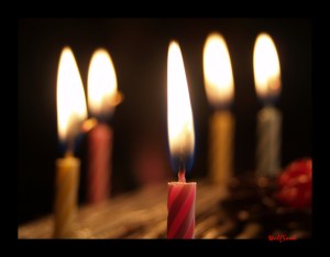 flickr.com/photos /wolfsoul/ 2259896124