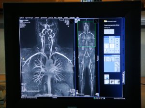 flickr.com/ photos/ donmeliton/ 2441292625