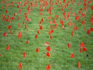 flickr.com/ photos/ jenwaller/ 1796878810