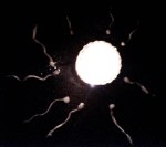 .flickr.com/ photos /themikebot/ 233440718