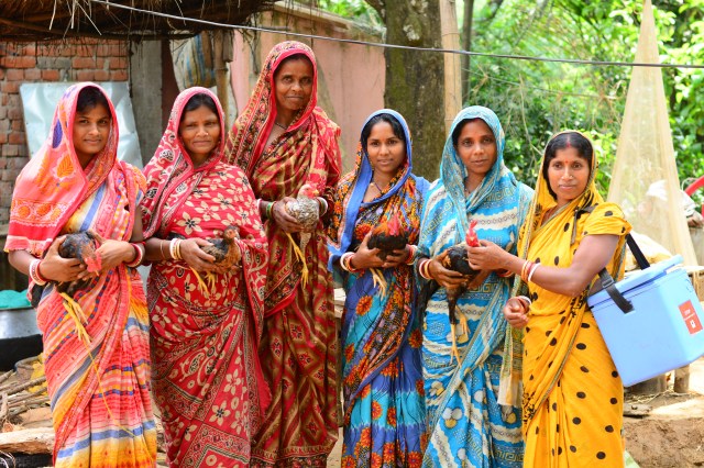 36065516295_6a03e4c78b_o